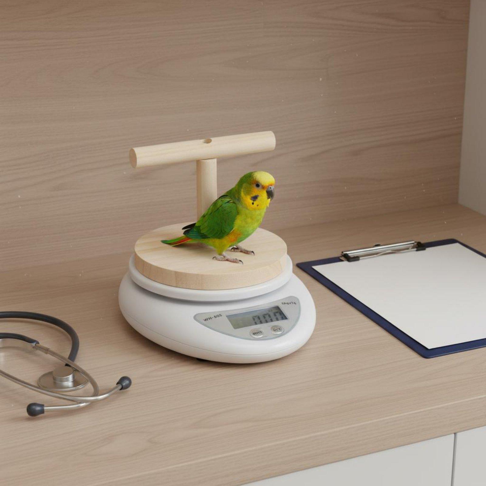 Precision Avian Scale Wood T B - огляд і ціна Portion Scale Digital